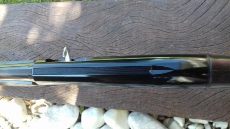  Buenas tardes

Vendo escopeta marca Benelli modelo Montefeltro Comfort calibre 12/76 y cañón de 71 cm. 11
