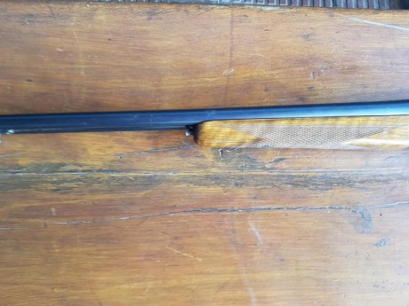 VENDO O CAMBIO ESCOPETA LARRAÑAGA 12 MENOR,12  CHICA.Vendo por 300 €. O cambio por escipeta repetidora 10