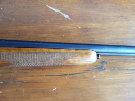 VENDO O CAMBIO ESCOPETA LARRAÑAGA 12 MENOR,12  CHICA.Vendo por 300 €. O cambio por escipeta repetidora 31