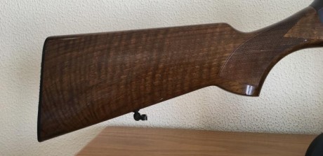 Vendo escopeta  SEMIAUTOMÀTICA BROWNING 2000 .
La mejor entre las mejores. muy buen estado,pocos tiros 01