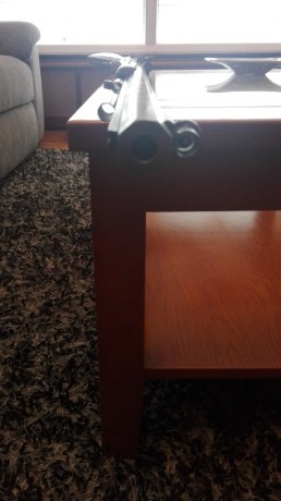 Un amigo del Club de Tiro Principado me pide que le ponga este anuncio.

"Se vende rifle CVA con 02