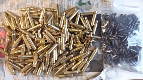 Hola.
Vendo un lote compuesto por 156 vainas Sellier & Bellot de un solo tiro de cerrojo, calibre 02