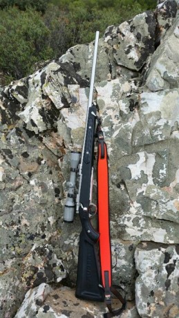 Pues eso, que nos invitaron a decir aquí lo mierda que es el 30-06...

https://www.armas.es/foros/conversacion-general/se-sabe-algo-de-jabali-viejo-1041988

Yo 160