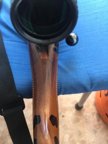 Vendo carabina ceska 452 luxe calibre 22lr, está guiada en E y se encuentra en la ciudad de Elche ( Alicante), 30
