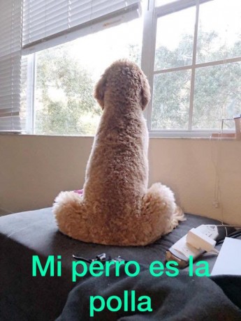 ¡Muy buenas a todos!

Estaba dando un paseo por el foro, cuando me he dado cuenta de que no había un hilo 120