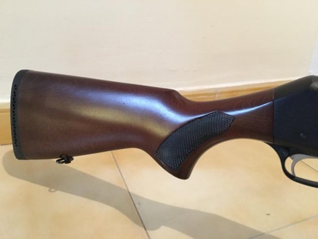 Buenos días,
vendo escopeta de corredera Fabarm por exceso de armas. Está en perfecto estado, no se ha 01