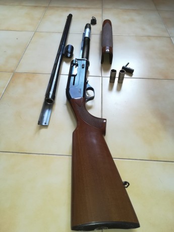 Buenos días,
vendo escopeta Lanber Victoria por exceso de armas. Está en muy buen estado y muy bien cuidada. 01