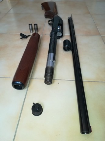 Buenos días,
vendo escopeta Lanber Victoria por exceso de armas. Está en muy buen estado y muy bien cuidada. 00