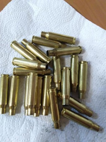 Saludos,me estoy pensando en comprar una limpia vainas,algo sencillo no tiro demasiado ,pero creo que 122