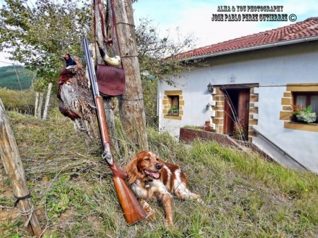  Amigos, viendo que hay interés general en la práctica de la caza con armas de avancarga, abrimos este 121