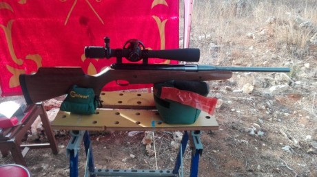 Vendo o cambio aa pro sport 4,5  en nogal lleva kid v-mach esta a 16j cn visor bsa 10-32x44 y maleta rigida 00