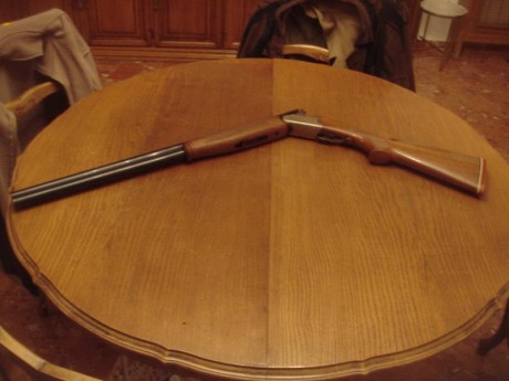 Semi Franchi Raptor calibre 12 (Con maletín y polichoques) Nuevísima. No se ha usado ni tres veces. Es 20