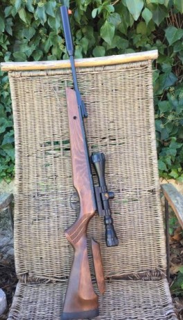 Vendo Cometa Fénix 400, calibre 5’5.
Sistema “GP Sistem” no muelles.
Moderador de sonido y culata regulable.
Solo 02