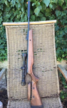 Vendo Cometa Fénix 400, calibre 5’5.
Sistema “GP Sistem” no muelles.
Moderador de sonido y culata regulable.
Solo 01