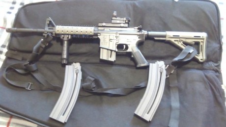 Cambio colt walther ar15 cal 22lr , 2 cargadores largos+ 1 corto, también su culata original y ris originales 00