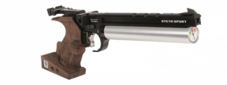 Hola he visto que en la modalidad de precision de pistola con aire estandar hay que hacer series de 5 20