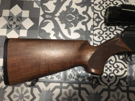 En calibre 3006.
Impecable. Vendo por no usarlo. Incluyó las monturas fijas y el visor Bushnell además 02