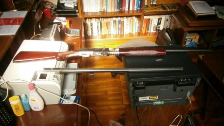 Vendo escopeta FN Browning Auto-5 calibre 12/70, en buen estado.
Con dos cañones, uno para bala y otro 02