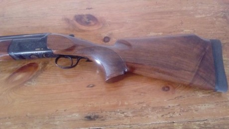 Pues eso, que me he comprado una Beretta 682 y quiero vender mi Lanberri MD4. Cañón de 75 cm, choques 12