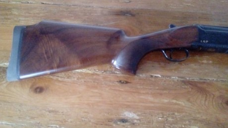 Pues eso, que me he comprado una Beretta 682 y quiero vender mi Lanberri MD4. Cañón de 75 cm, choques 11