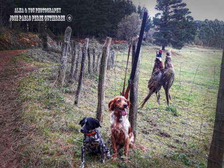  Amigos, viendo que hay interés general en la práctica de la caza con armas de avancarga, abrimos este 170