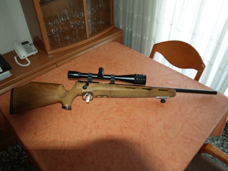Pues vendo mi Weihrauch cal- 22 Hornet, una maravilla de Arma y precisión, lo compre como todo de capricho, 02