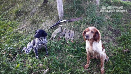  Amigos, viendo que hay interés general en la práctica de la caza con armas de avancarga, abrimos este 140