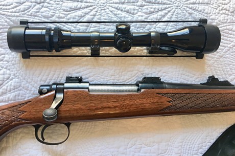 Vendo Remington 270 con montura Apel con Visor BAUSCH&LOMB 3-9X40. En perfecto estado. La he usado 02