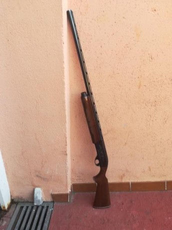 Muy buenas, vendo escopeta semiautomática Remington model 1100 . Cal 12 
No tiene ni 200 tiros, era como 00