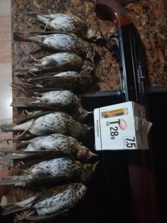 Pues nada ahí tenéis el destripe de este cartucho 100