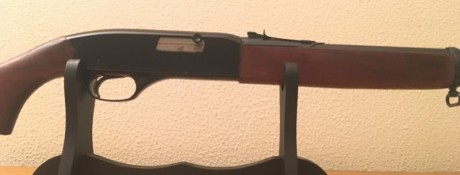 Vendo carabina  WINCHESTER  calibre 22.
Semiautomàtica,alza de librillo, deposita de 12 balas. Admite 00