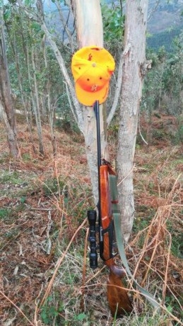 Hola.

Un compañero por dejar la caza vende su equipo de caza mayor.
Compuesto por browning zenith affut 01