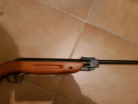 Hola a todos los foreros.
Quisiera haceros una consulta.
Me he hecho con una Cometa de 4,5 que es antigua 31