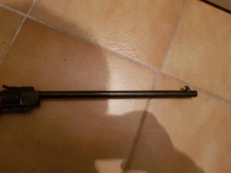 Hola a todos los foreros.
Quisiera haceros una consulta.
Me he hecho con una Cometa de 4,5 que es antigua 30
