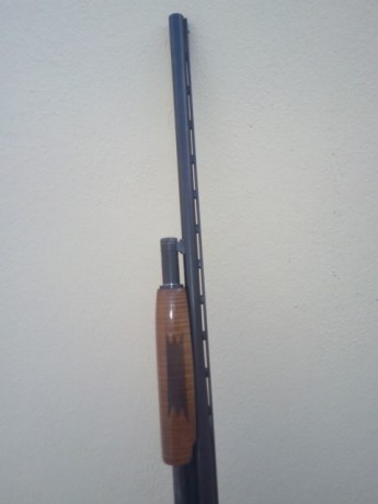 Cambio una mossberg 500 por algo relacionado con la caza mayor, la valoro en unos 200€, la escopeta yo 22
