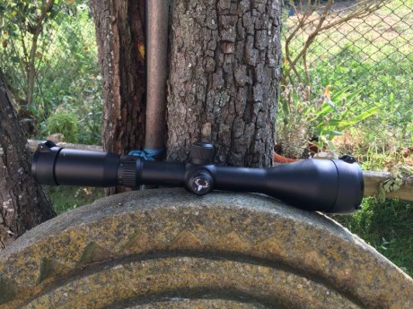 Visor bushnell trophy xlt 3-12x56
Reticula iluminada
Tubo 30mm
Tapas buttler creek
En perfecto estado
Está 02