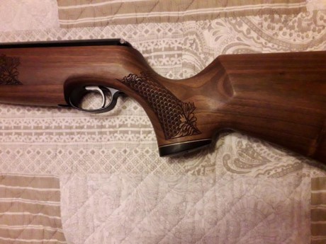 Vendo air arms tx200 culata nogal
calibre 4.5
Está nueva, no ha tirado ni una caja de balines
Incluyo 10