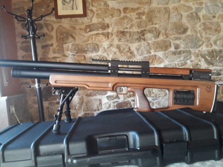 Vendo Kalibrgun Cricket 6.35mm en muy buen estado con bipode tipo Harris,tornillo regulador de potencia,maleta 02