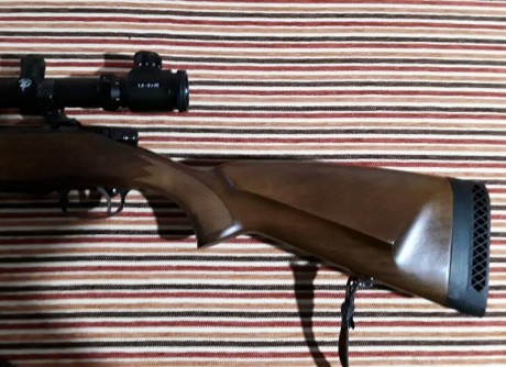 Rifle CZ 550 stutzen,cal.308 w.Impecable,monturas apel y cargador adicional.visor ya no lo tengo. 900 02