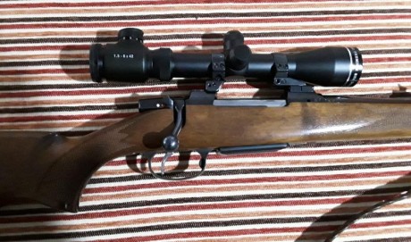 Rifle CZ 550 stutzen,cal.308 w.Impecable,monturas apel y cargador adicional.visor ya no lo tengo. 900 01