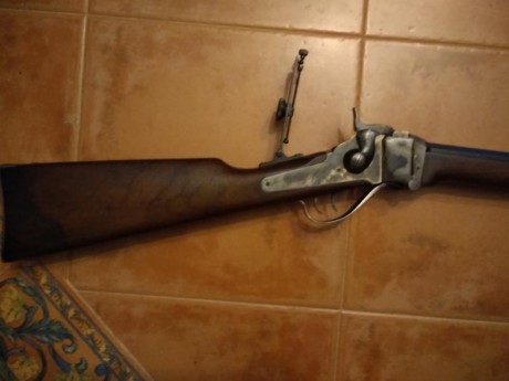 Vendo Sharps sporting IAB, calibre 45-70, cañón de 32", apenas usado.
El arma está en León, posibilidad 01