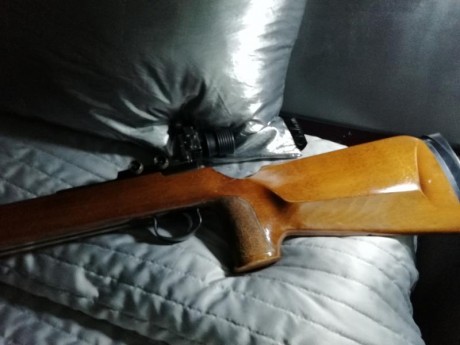 Hola. Vendo carabina anschutz 64 cañon pesado y agrupa muy bien regalo maleta transporte nueva. El precio 02
