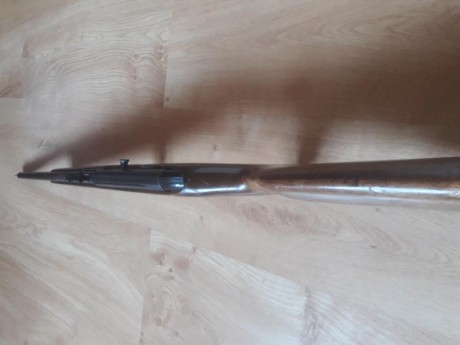 Vendo carabina semiautomática calibre 22 LR Mossberg fabricada en USA, buen estado. Ocasión 125€. 01