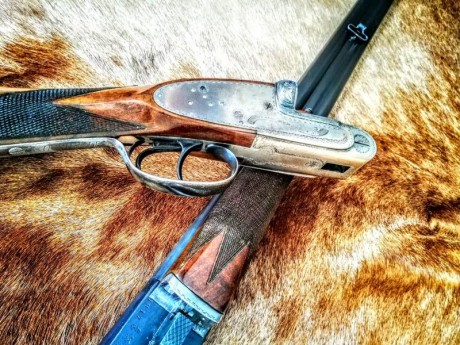 OPORTUNIDAD!!


Vendo escopeta paralela calibre 16 marca Grulla Unión armera. Extractora con cañones de 01