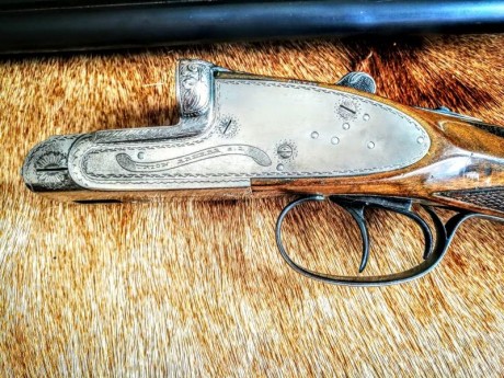 OPORTUNIDAD!!


Vendo escopeta paralela calibre 16 marca Grulla Unión armera. Extractora con cañones de 12