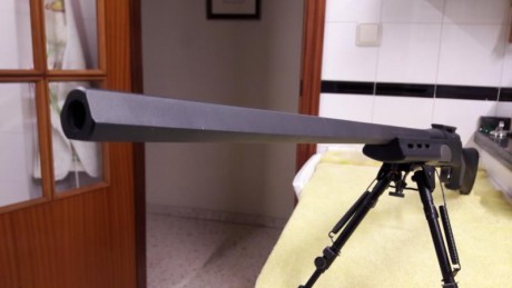 Vendo por exceso de armas, pero sobre todo por no tener posibilidad de utilizar adecuadamente:
Excepcional 00