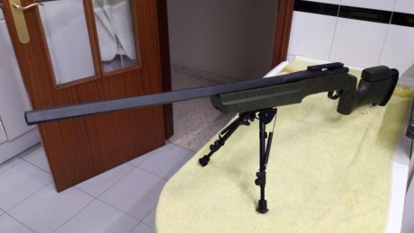 Vendo por exceso de armas, pero sobre todo por no tener posibilidad de utilizar adecuadamente:
Excepcional 22