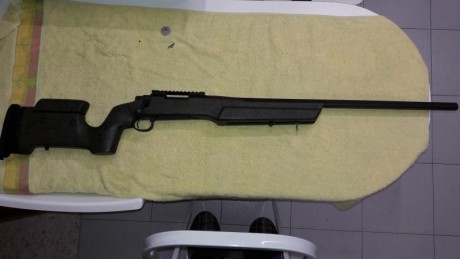 Vendo por exceso de armas, pero sobre todo por no tener posibilidad de utilizar adecuadamente:
Excepcional 31
