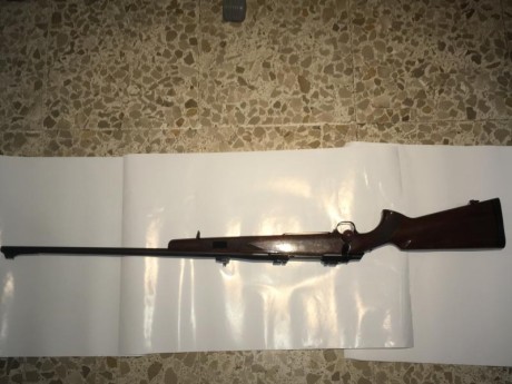 Vendo Browning Abolt II en 338 WMg. Cañón de 66 cm que permite sacar todo el rendimiento del cartucho. 12