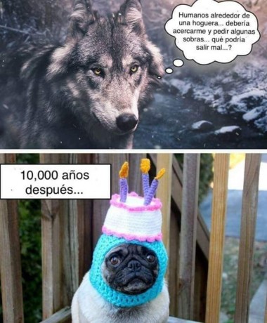 Con lo dado que somos los españoles a los chistes y que en este foro no se vean  :shock:  :shock:  :shock: 50